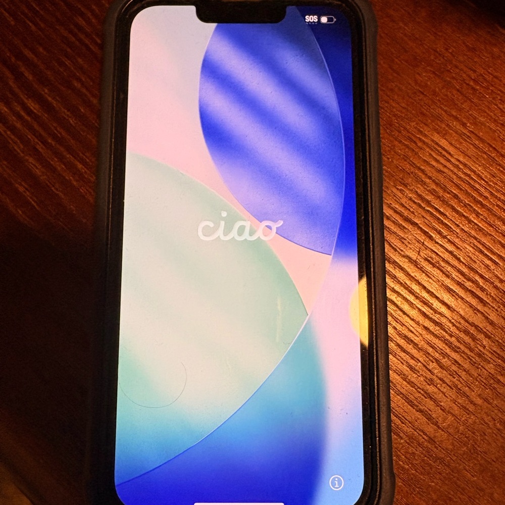 Black Smartphone Protective Case
